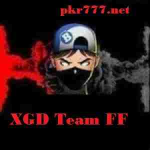 xgd-team-ff
