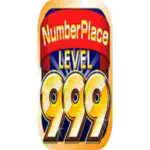 N999 Game