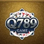 Q789 Game