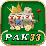Pak33 Game