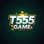 T555 Game