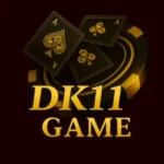 Dk11 Game